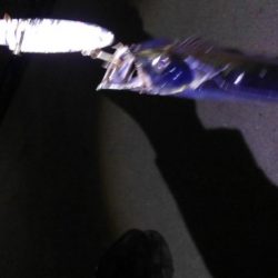 おおう、坊主じゃなかった!