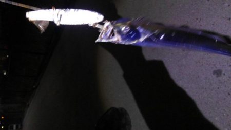 おおう、坊主じゃなかった!