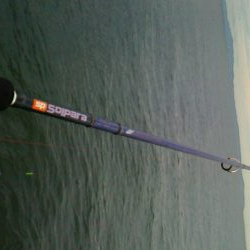 青物狙いのはずが