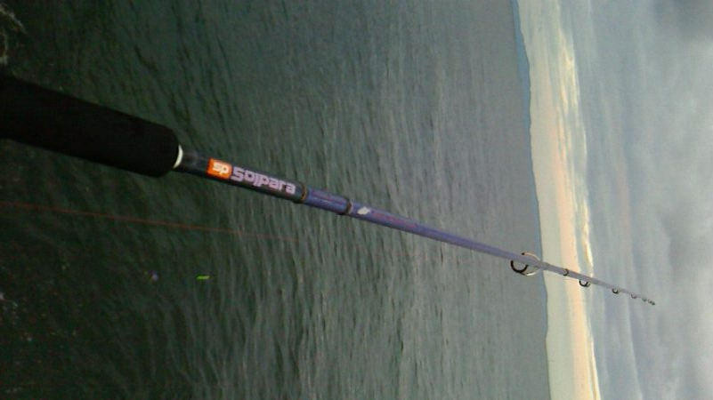 青物狙いのはずが