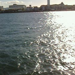 サビキ後うき釣り