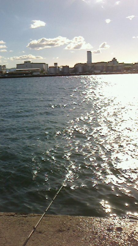 サビキ後うき釣り