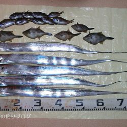 タチウオのウキ釣り