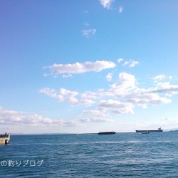 タチウオ・アオリイカ・マイワシ