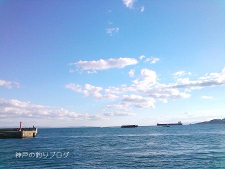 タチウオ・アオリイカ・マイワシ