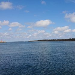 25時始夜釣り〜夕まづめ釣果