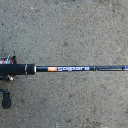 6日連続タチウオ釣行