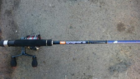 6日連続タチウオ釣行