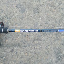 タチウオ1週間コンプリート