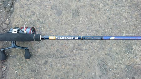 タチウオ1週間コンプリート