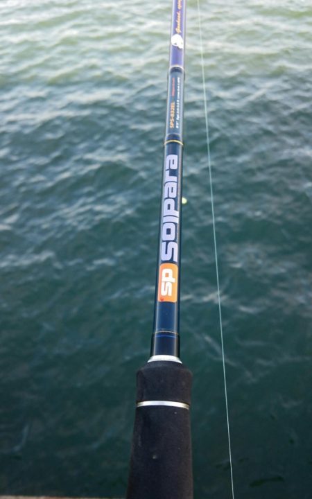 タチウオ今日から大潮