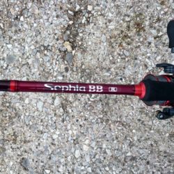 久々に貝塚遠征にてタチウオ釣行