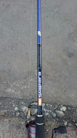 南港タチウオ激渋