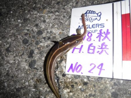 虫ヘッドで五目釣り