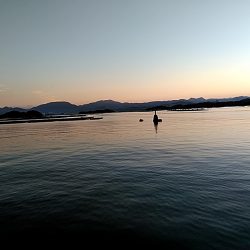 台風明けて・・・・・