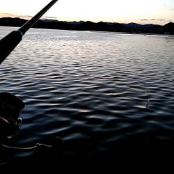 まだまだ　太刀魚釣れてます!!