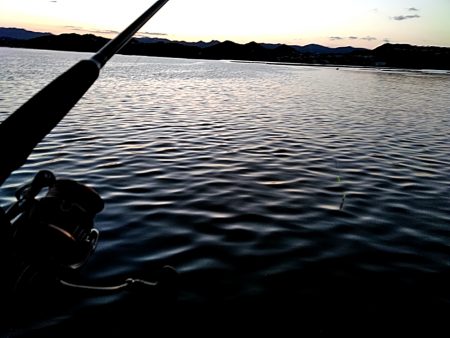 まだまだ　太刀魚釣れてます!!