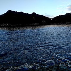 アオリが駄目でしたが、シオが上がりました!!