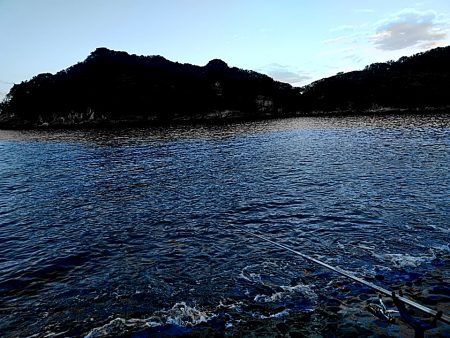 アオリが駄目でしたが、シオが上がりました!!