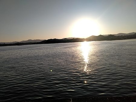 アオリイカと太刀魚上がってました!!