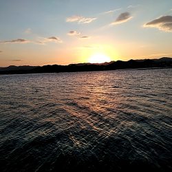 何とか一本太刀魚上がりました!!