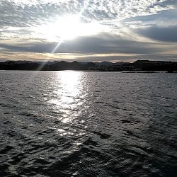 太刀魚1本上がりました！！