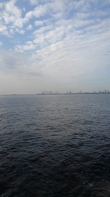 やっとタチウオ釣れました。　