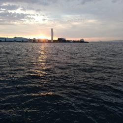 サバなし→爆釣