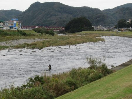 狩野川(狩野川漁業協同組合) 釣果