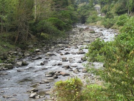 狩野川(狩野川漁業協同組合) 釣果