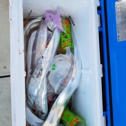 遊漁船　ニライカナイ 釣果