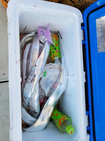 遊漁船　ニライカナイ 釣果