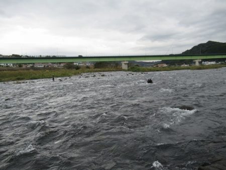 狩野川（狩野川漁業協同組合） 釣果