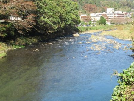 狩野川(狩野川漁業協同組合) 釣果
