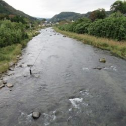 狩野川(狩野川漁業協同組合) 釣果