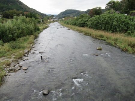 狩野川(狩野川漁業協同組合) 釣果