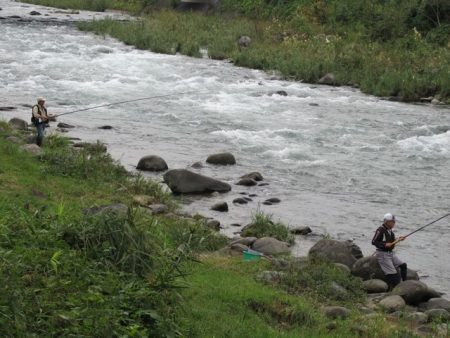 狩野川(狩野川漁業協同組合) 釣果