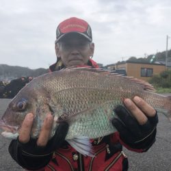 由良渡船 釣果