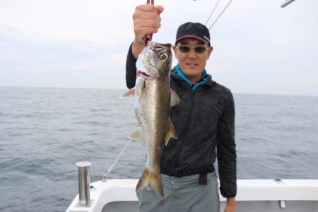 へいみつ丸 釣果