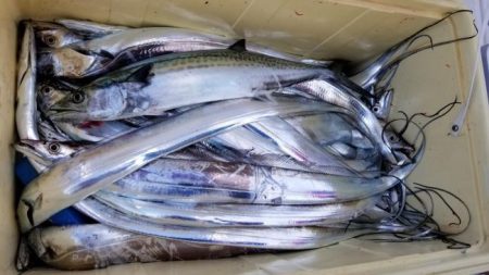 暁〜akatsuki〜 釣果