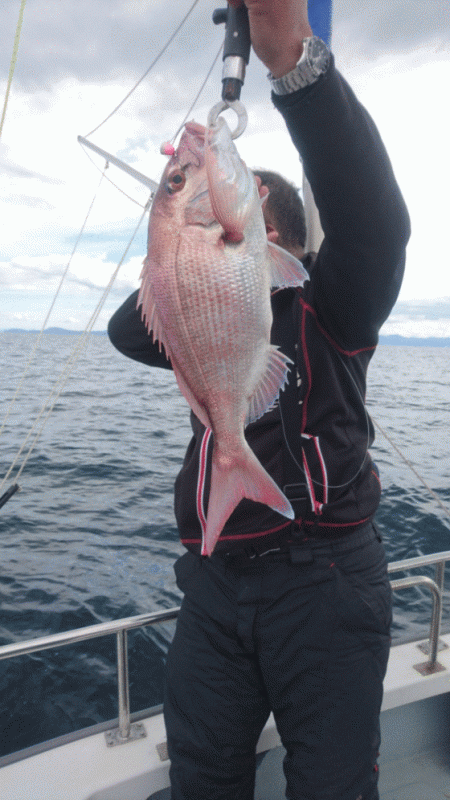 遊漁船ブルーウッズ 釣果