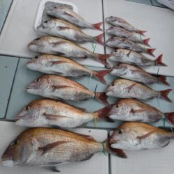 遊漁船 幸友丸 釣果