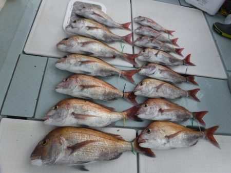 遊漁船 幸友丸 釣果