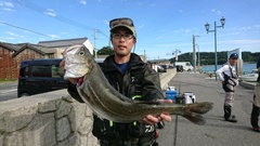 まこと渡船 釣果
