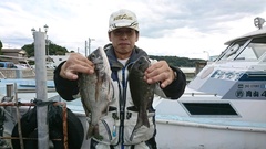 まこと渡船 釣果