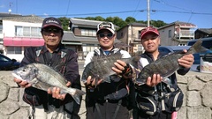まこと渡船 釣果