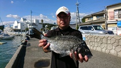 まこと渡船 釣果