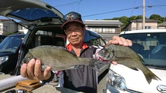 まこと渡船 釣果