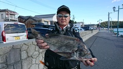 まこと渡船 釣果