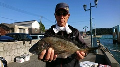 まこと渡船 釣果
